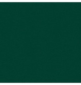 My Colors 12x12 Hunter Green - Heavyweight