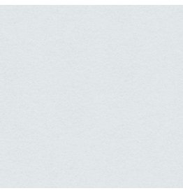 My Colors 12x12 Blue Mist- HeavyWeight