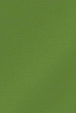 My Colors 12x12 Sparkling Apple- Glimmer    *DISC*