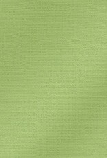 My Colors 12x12 Willow Green- Glimmer   *DISC*