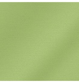 My Colors 12x12 Willow Green- Glimmer   *DISC*