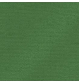 My Colors 12x12 Fern - Glimmer   *DISC*