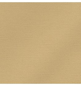 My Colors 12x12 Sandpaper- Glimmer   *DISC*