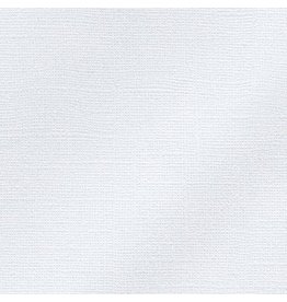 My Colors 12x12 Polar Bear - Glimmer   *DISC*