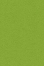 My Colors 12x12 Crisp Green- Heavyweight