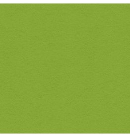 My Colors 12x12 Crisp Green- Heavyweight    *DISC *