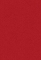 My Colors 12x12 Chinese Red- Heavyweight