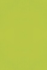 Simple Stories Color Vibe 12X12 Textured Cardstock  - Lime