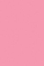 My Colors 8.5x11 - Petal Pink - Classic *DISC*