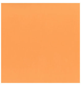My Colors 8.5x11 Orange Sherbet - Classic *DISC*