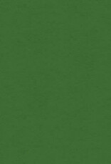 My Colors 8.5x11 Holiday Green - Classic