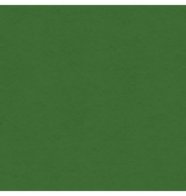 My Colors 8.5x11 Holiday Green - Classic  *DISC*