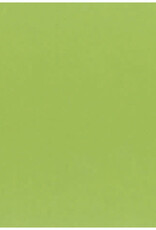 My Colors 8.5X11 Kiwi-Classic Cardstock