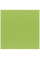 My Colors 8.5X11 Key Lime Classic Cardstock