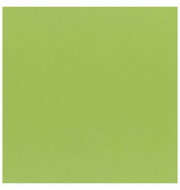 My Colors 8.5X11 Kiwi - Classic *DISC*