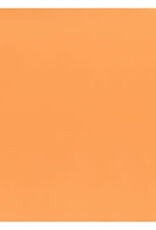 My Colors 12x12 Orange Sherbert - Classic