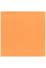 My Colors 12x12 Orange Sherbert  Classic