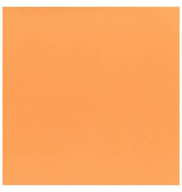 My Colors 12x12 Orange Sherbert - Classic