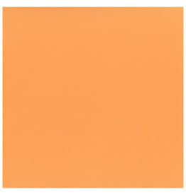 My Colors 12x12 - Orange Sherbet - Classic *DISC*