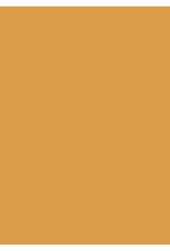 My Colors 12x12 Gold Rush - Classic