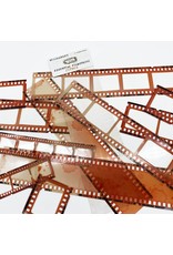 49 AND MARKET Essential Filmstrips - Citrus