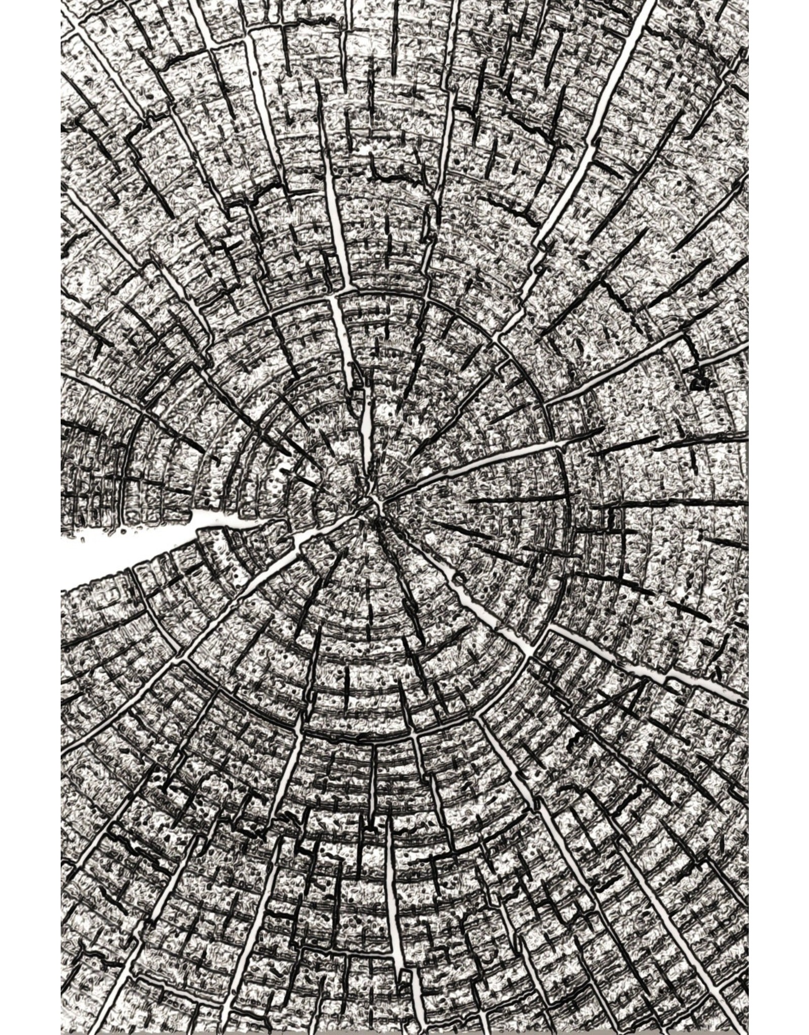 Tim Holtz - Sizzix 3D Texture Fades Embossing Folder Tree Rings