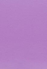 My Colors 12x12 Phlox -Classic