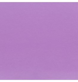 My Colors 12x12 Phlox -Classic   *DISC*