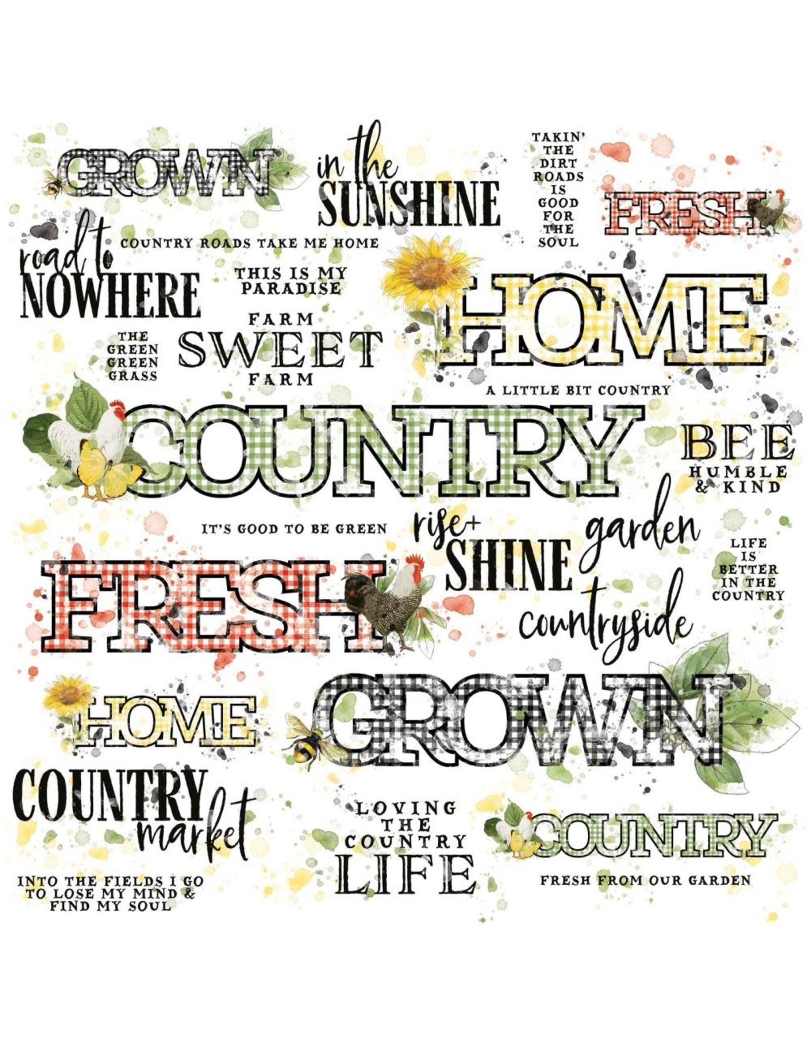 49 AND MARKET VA COUNTRYSIDE RUB-ONS - SENTIMENTS 12x12