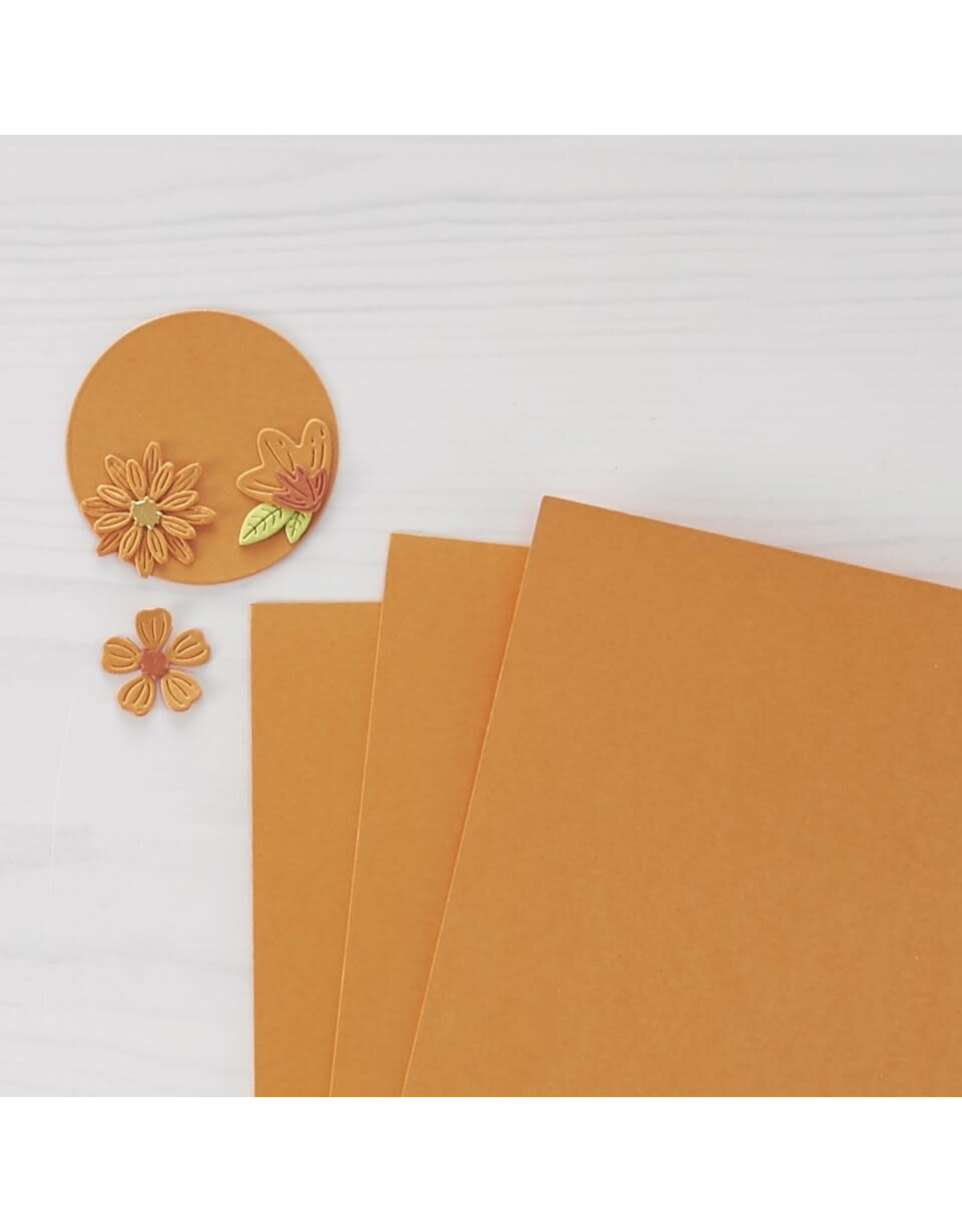 Spellbinders Color Essentials Cardstock 8.5 x 11” - 10 Pack -  Persimmon