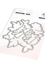 PINKFRESH STUDIO Today is Special Stamp & die