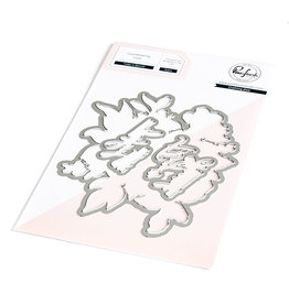 PINKFRESH STUDIO Today is Special Stamp & die