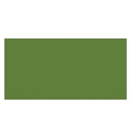 Copic Markers Copic Sketch Marker - Olive - G99