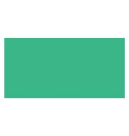 Copic Markers Copic Sketch Marker - Bright Parrot Green - G19