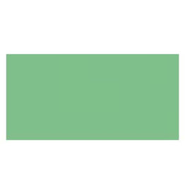 Copic Markers Copic Sketch Marker - Moss - YG67