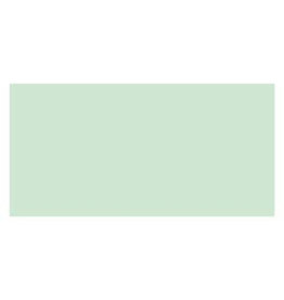 Copic Markers Copic Sketch Marker - Spectrum Green - G02