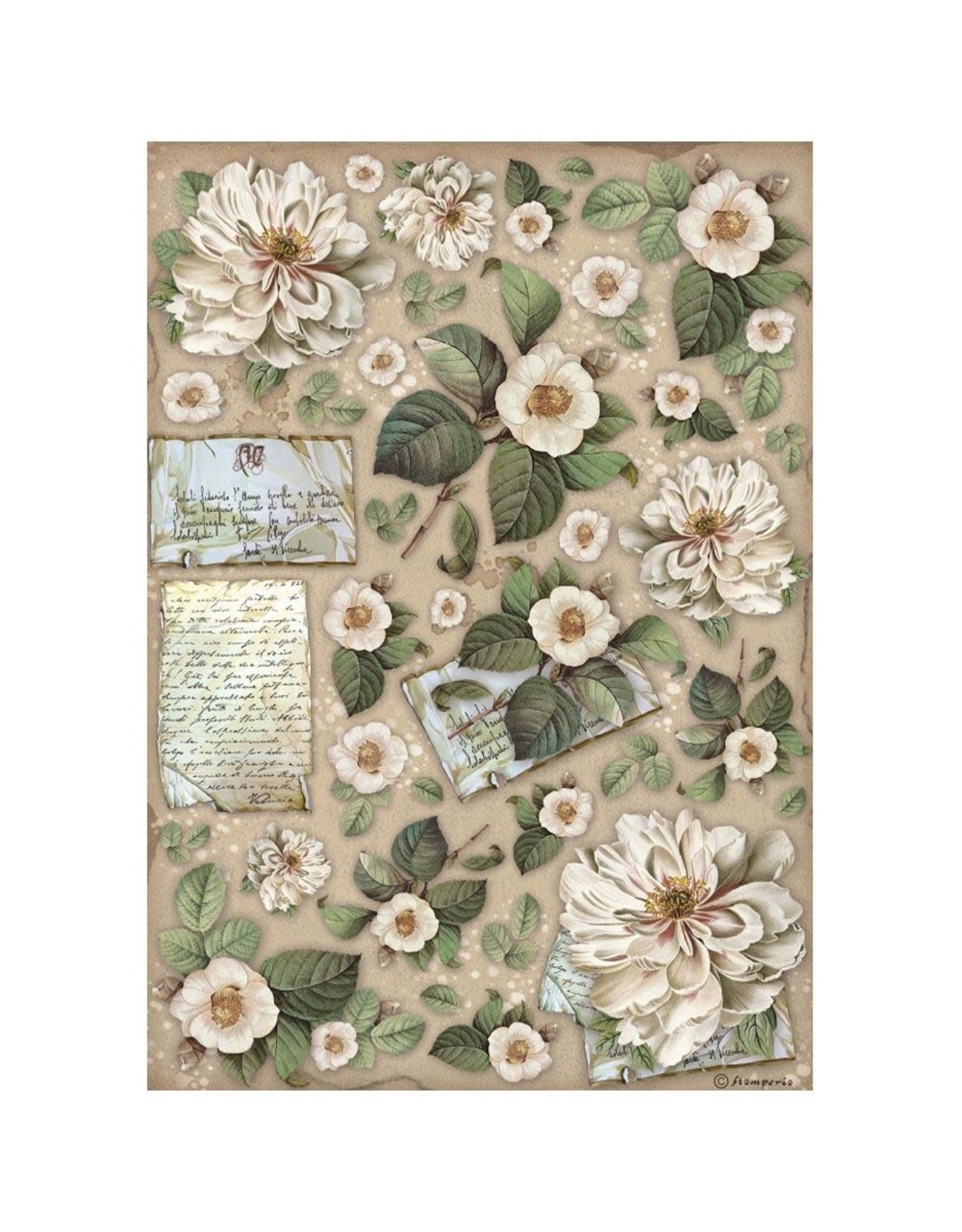 Stamperia VINTAGE LIBRARY RICE PAPER - VINTAGE LIBRARY FLOWERS & LETTERS