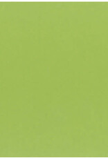 My Colors 12x12 - Key Lime - Classic *DISC*