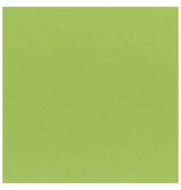 My Colors 12x12 Key Lime - Classic *DISC*