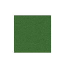 My Colors 12x12 Herb Garden- Heavyweight  *DISC*