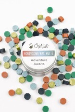 Honey Bee Adventure Awaits Wax Melts