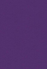 My Colors 12x12 - Cyber Grape - Heavyweight *DISC*