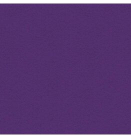 My Colors 12x12 Cyber Grape - Heavyweight *DISC*