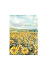Stamperia Sunflower Art - Assorted Rice Paper Backgrounds A6 8/Sheets