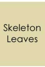 Gina K. Designs Gina K Cardstock 8.5 x 11- Heavy Weight - Skeleton Leaves