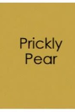 Gina K. Designs Gina K Cardstock 8.5 x 11- Heavy Weight - Prickly Pear