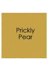 Gina K. Designs Gina K Cardstock 8.5 x 11 - Heavy Weight - 10 sheets  -  Prickly Pear