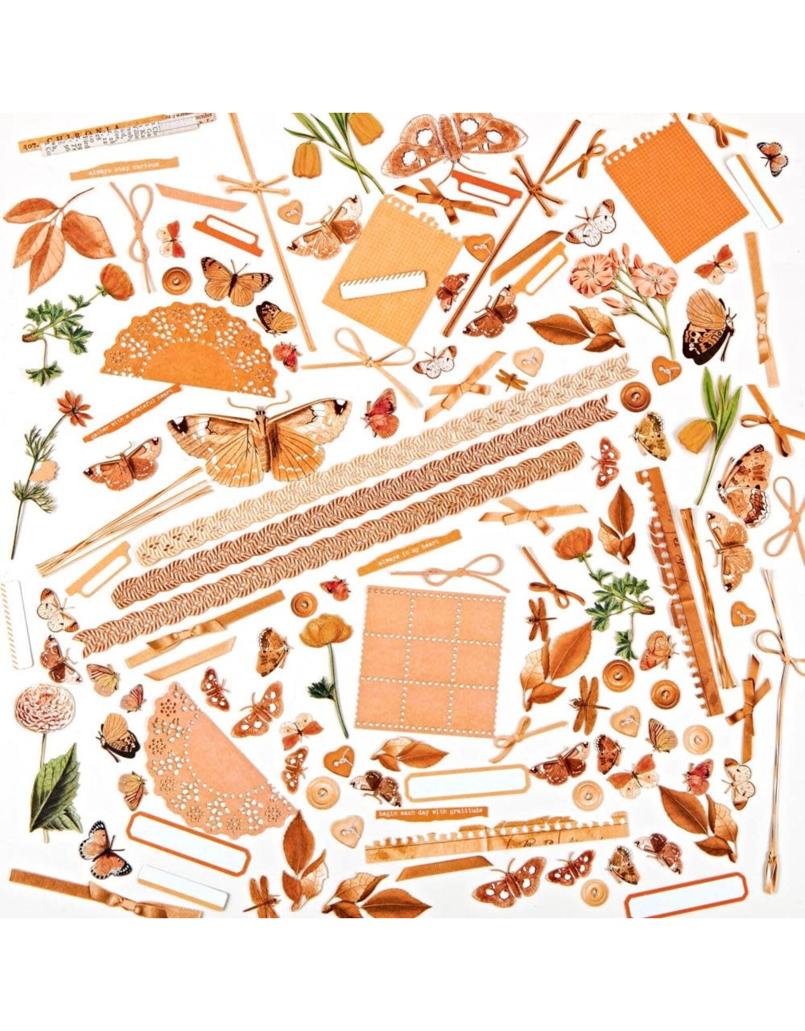 49 AND MARKET COLOR SWATCH PEACH CUT-OUT ELEMENTS