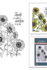 Spellbinders Serenade of Autumn Collection - Sunflower Field Press Plate