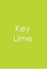 Gina K. Designs Gina K Cardstock 8.5 x 11 -  Heavy Weight - 10 sheets - Key Lime